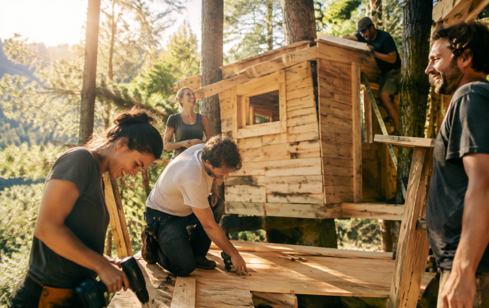 Des inconnus construisent une cabane dans la forêt